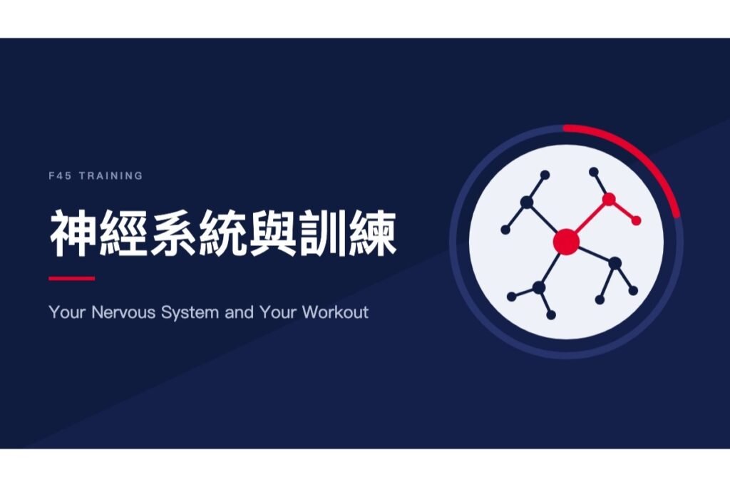 神經系統與訓練 Nervous system and your workout